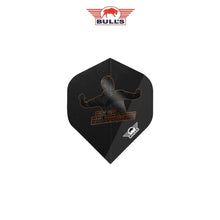 Bulls Flight Dirk van Duijvenbode E2 No2