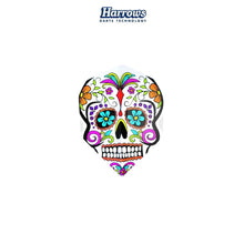 harrows-flight-quadro-graffiti-skull