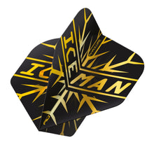 Red Dragon Hardcore Gerwyn Price Rainbow & Gold Flight