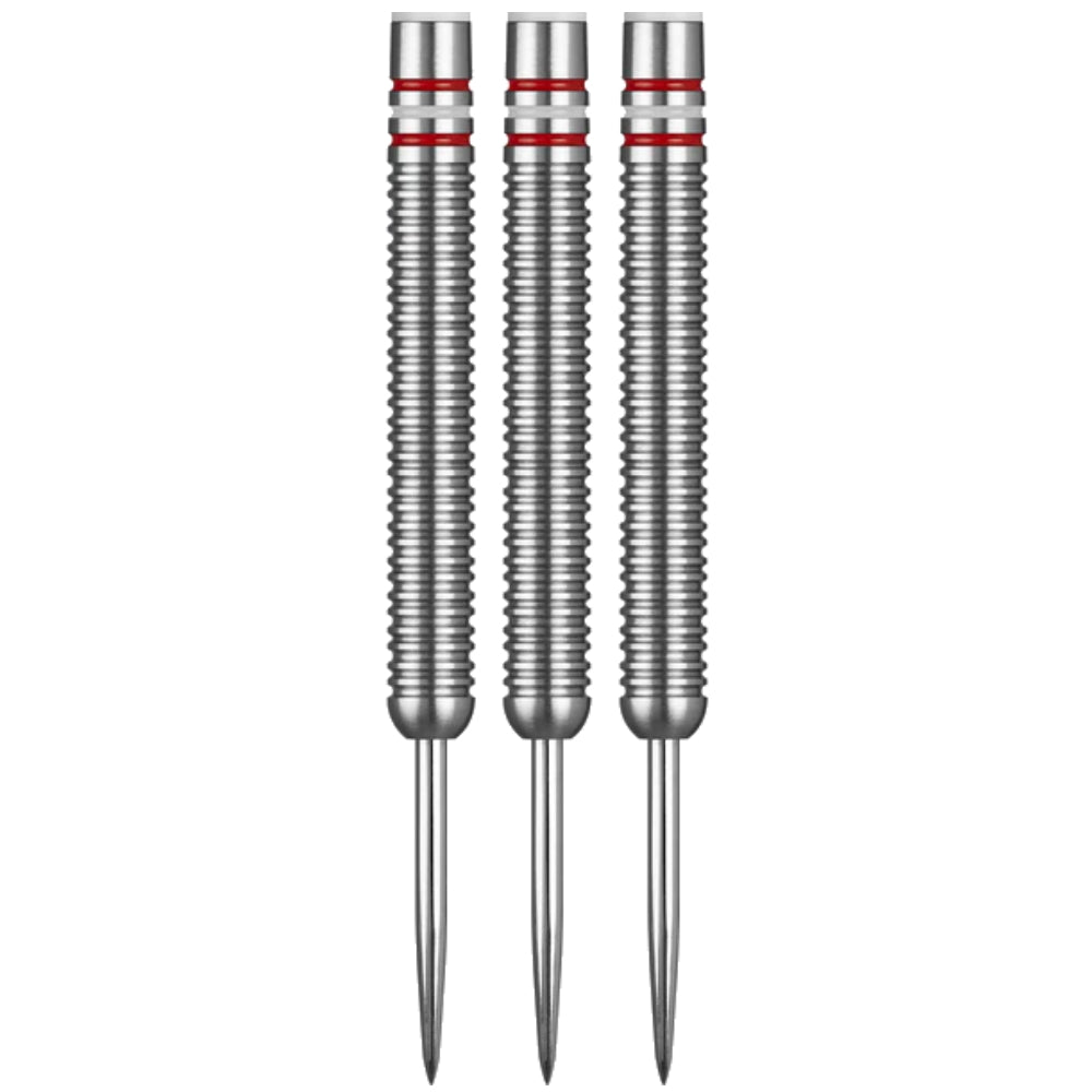 Steel Dart Set Österreich Edition 22g