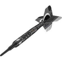 Target Dart Set Dimitri Van Den Bergh X Echo 20g