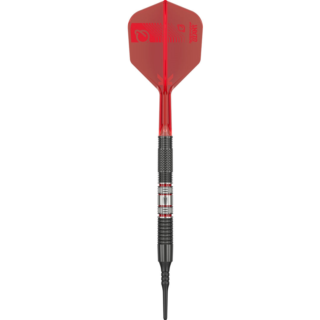 Target Dart Set Gabriel Clemens 95K 19g