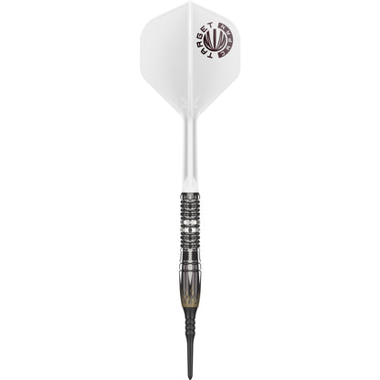 Target Dart Set Mitsumasa Hoshino Gen 10 17g