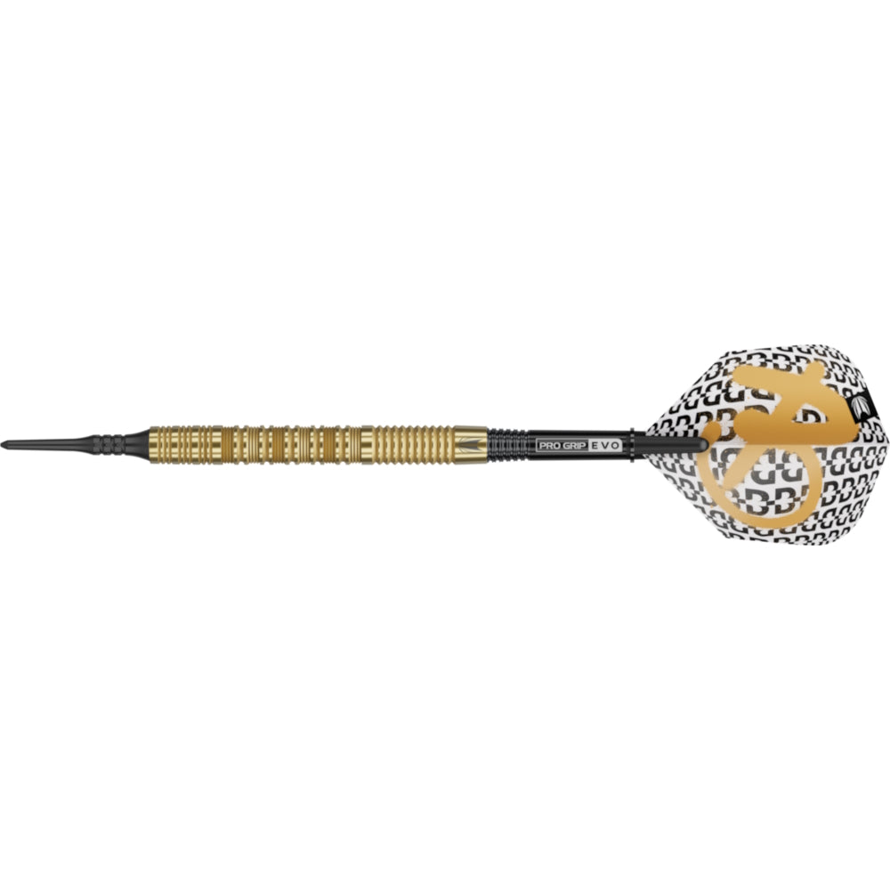 Target Dart Set Bolide Envy 10