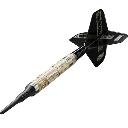 Target Dart Set Dimitri Van Den Bergh 95k 19g