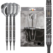 Target Dart Set Dimitri Van Den Bergh X Echo 20g