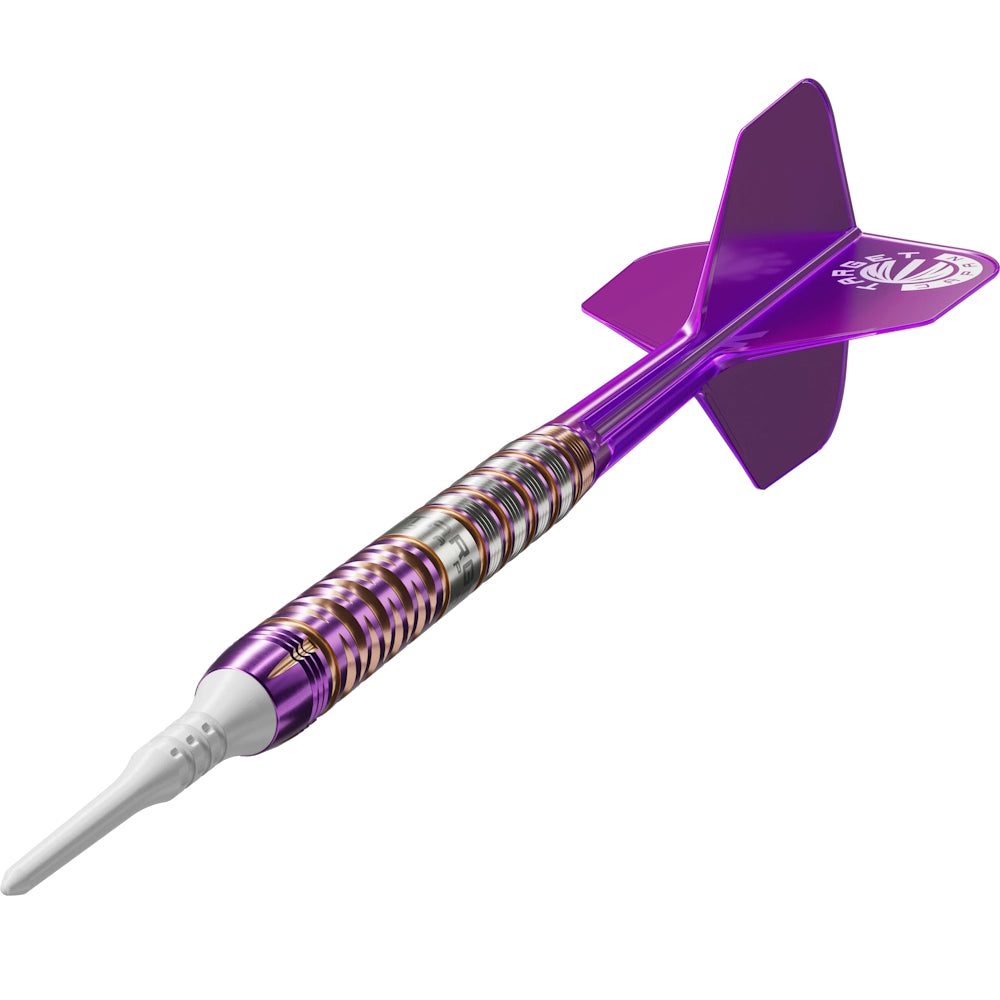 Target Dart Set Endeavour Gen2 20g