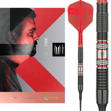 Target Dart Set Gabriel Clemens 95K 19g