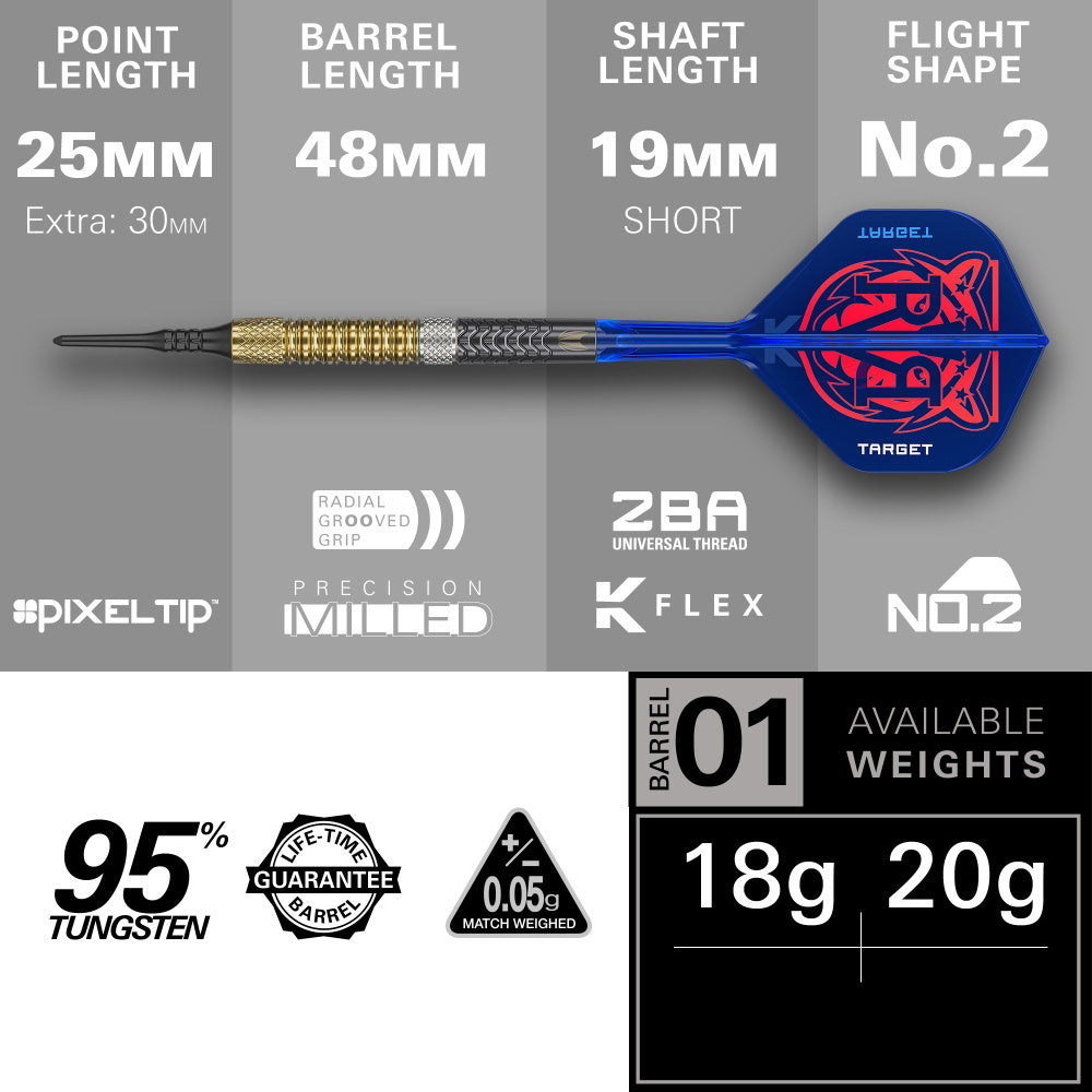 Target Dart Set Raymond Van Barneveld RVB 95 Gen6