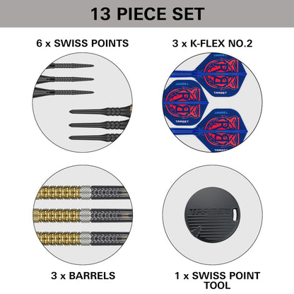 Target Dart Set Raymond Van Barneveld RVB 95 Gen6