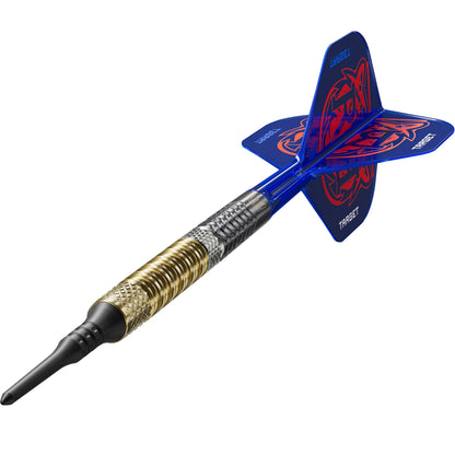 Target Dart Set Raymond Van Barneveld RVB 95 Gen6