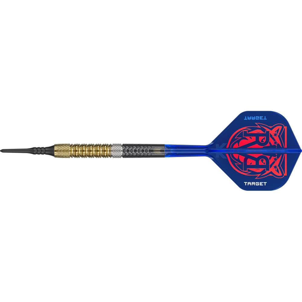 Target Dart Set Raymond Van Barneveld RVB 95 Gen6