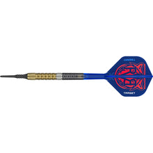 Target Dart Set Raymond Van Barneveld RVB 95 Gen6