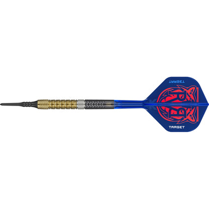 Target Dart Set Raymond Van Barneveld RVB 95 Gen6
