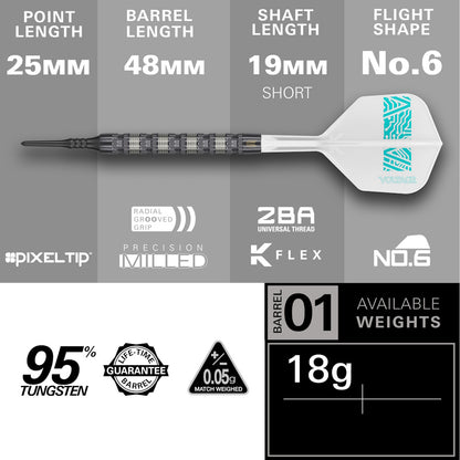 Target Dart Set Rob Cross 95k 18g
