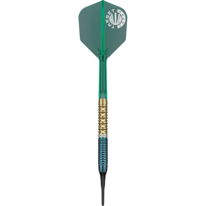 Target Dart Set Tung Suk Zenith Gen 2.5 20g