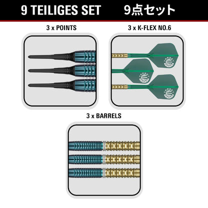 Target Dart Set Tung Suk Zenith Gen 2.5 20g