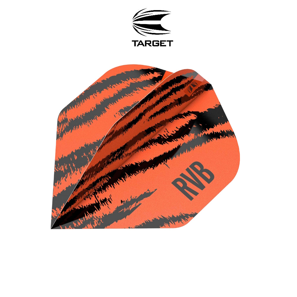 Target Flight Raymond Van Barneveld Brass Orange