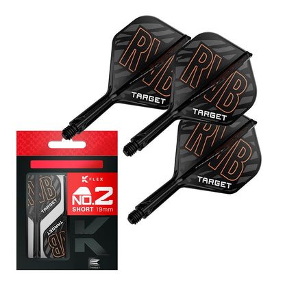 Target Flightsystem K-Flex Raymond Van Barneveld No2