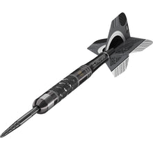 Target Steel Dart Set Dimitri Van Den Bergh X Echo