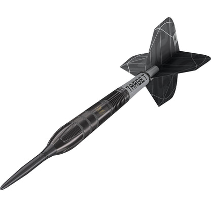Target Steel Dart Set Nathan Aspinall X Echo