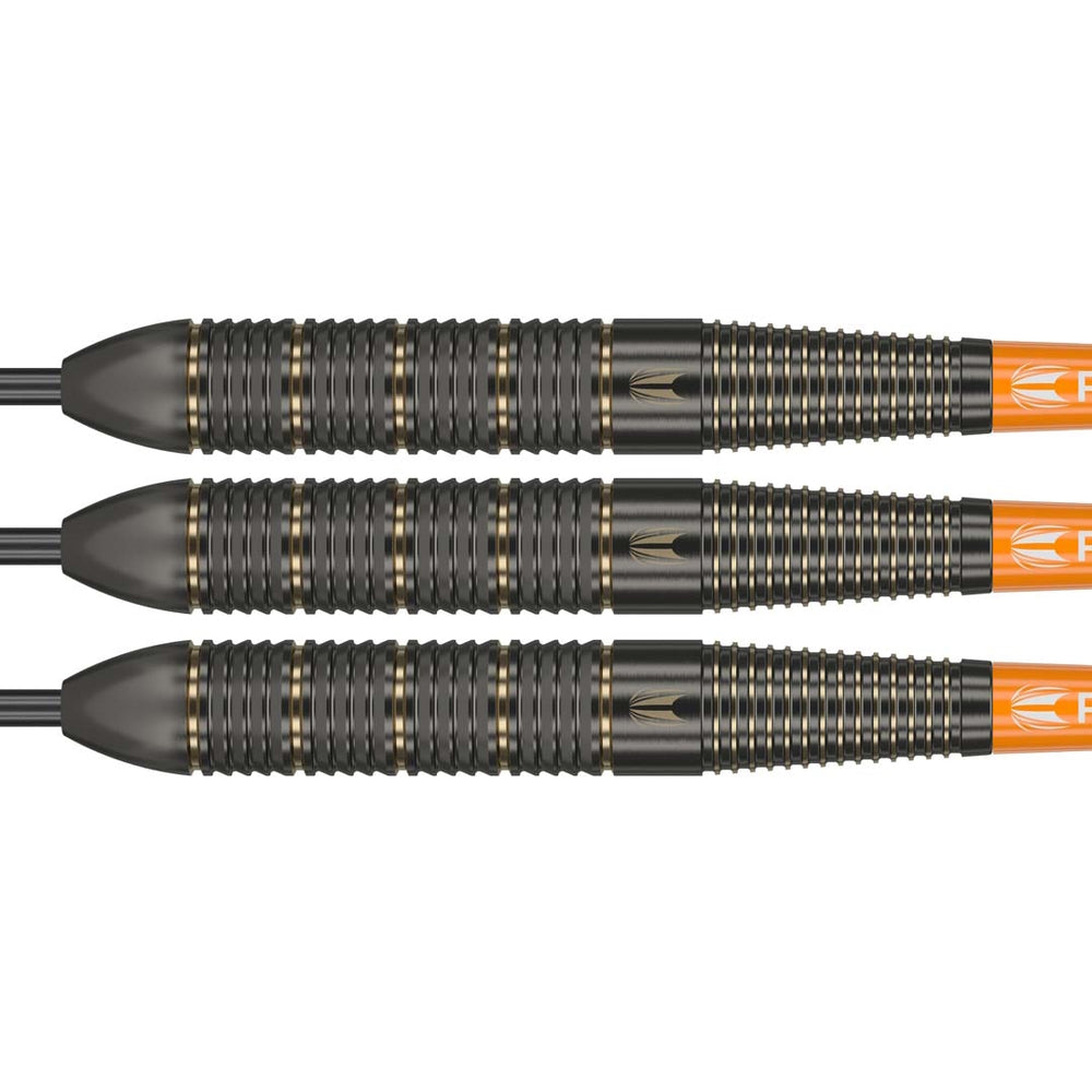 Target Steel Dart Set Raymond Van Barneveld Brass 22g