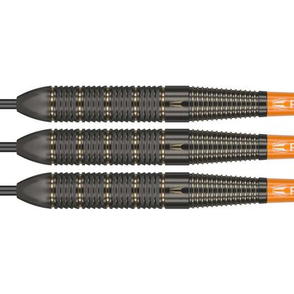 Target Steel Dart Set Raymond Van Barneveld Brass 22g