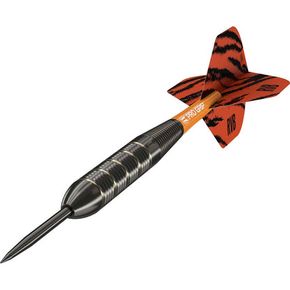 Target Steel Dart Set Raymond Van Barneveld Brass 22g