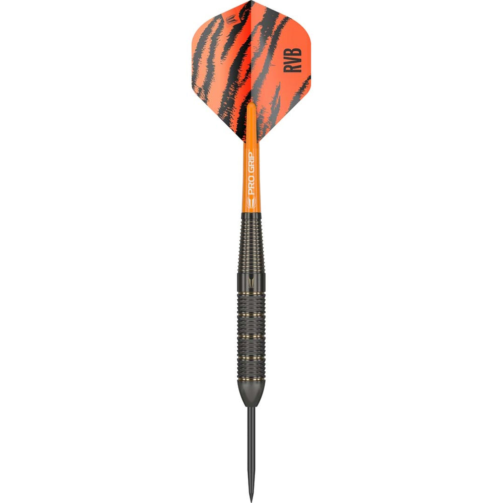 Target Steel Dart Set Raymond Van Barneveld Brass 22g