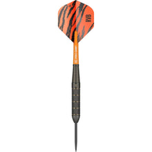 Target Steel Dart Set Raymond Van Barneveld Brass 22g