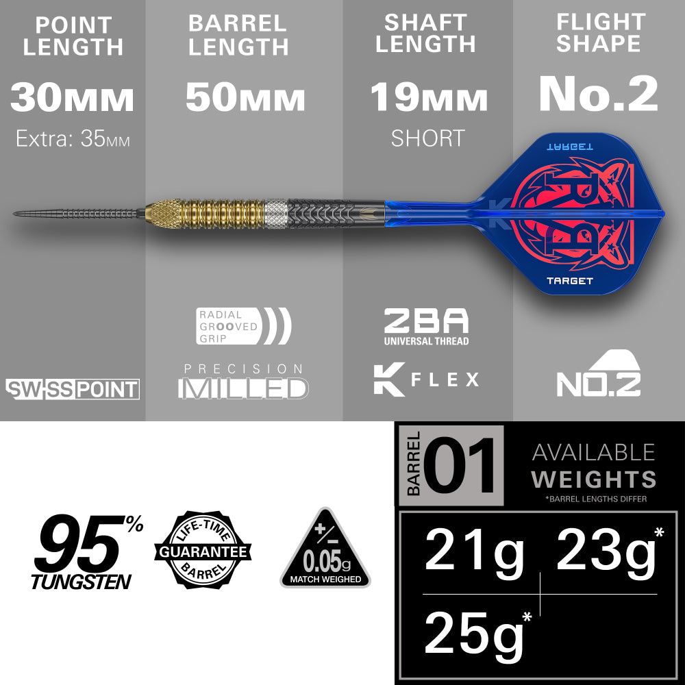 Target Raymond Van Barneveld RVB 95 Gen6 Steel Dart