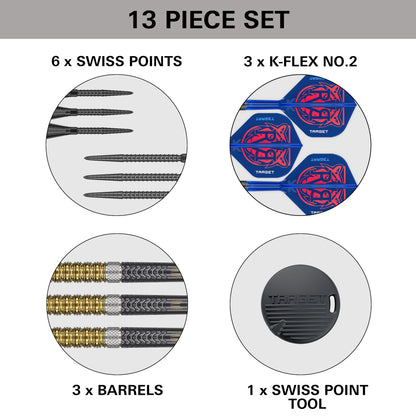 Target Raymond Van Barneveld RVB 95 Gen6 Steel Dart