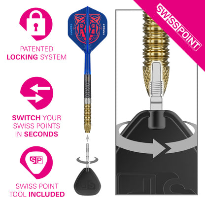 Target Raymond Van Barneveld RVB 95 Gen6 Steel Dart