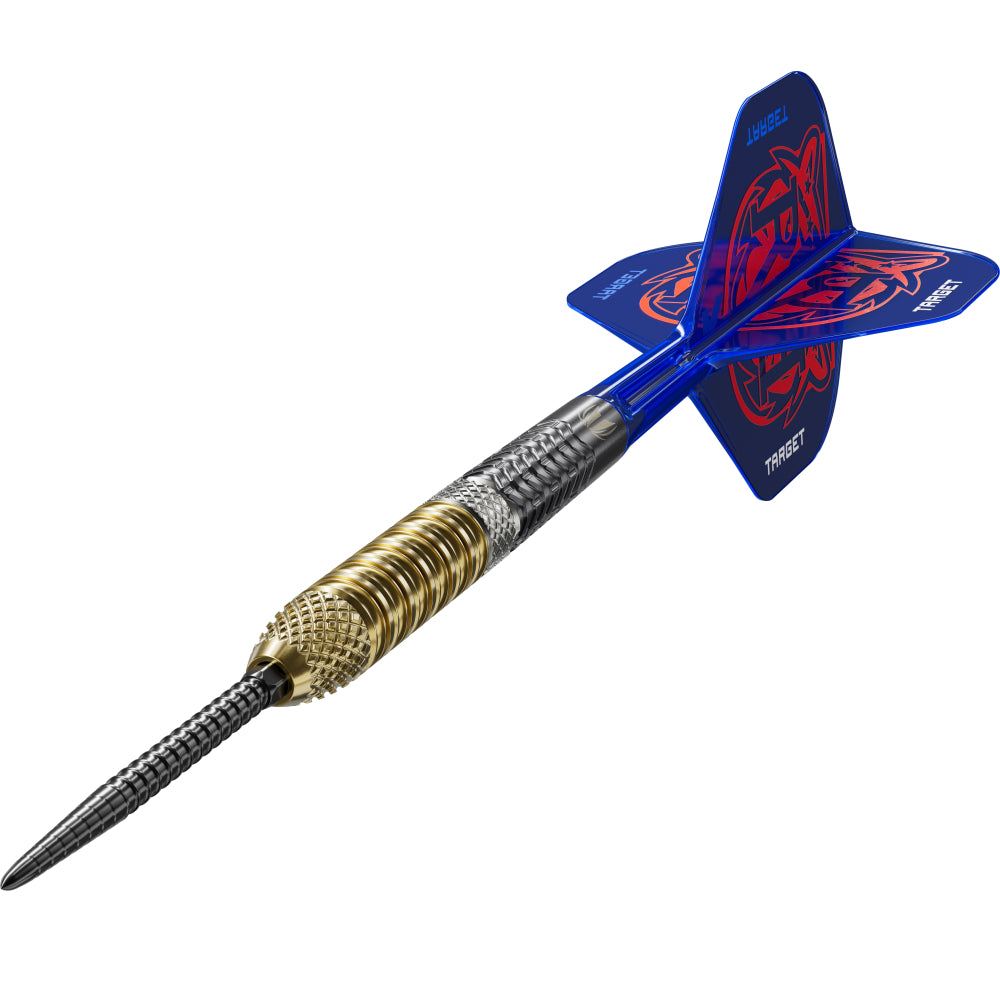 Target Raymond Van Barneveld RVB 95 Gen6 Steel Dart