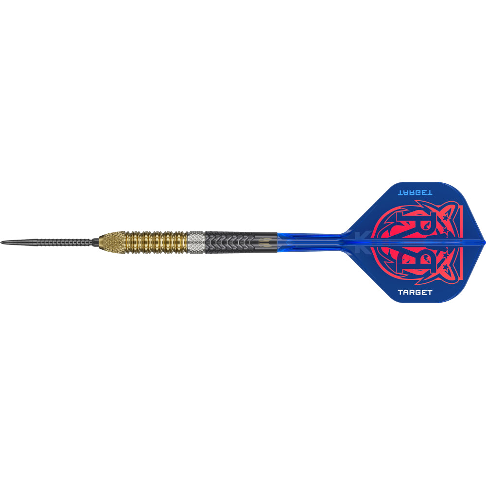 Target Raymond Van Barneveld RVB 95 Gen6 Steel Dart