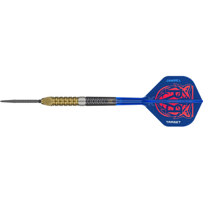 Target Raymond Van Barneveld RVB 95 Gen6 Steel Dart