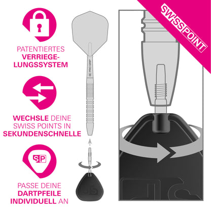 Target Steeldart Spitze Swiss Signature RST