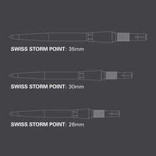 Target Steeldart Spitze Swiss Storm