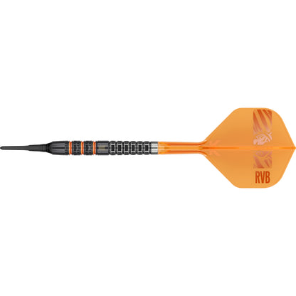 Target Raymond Van Barneveld 95k 20g Soft Dart