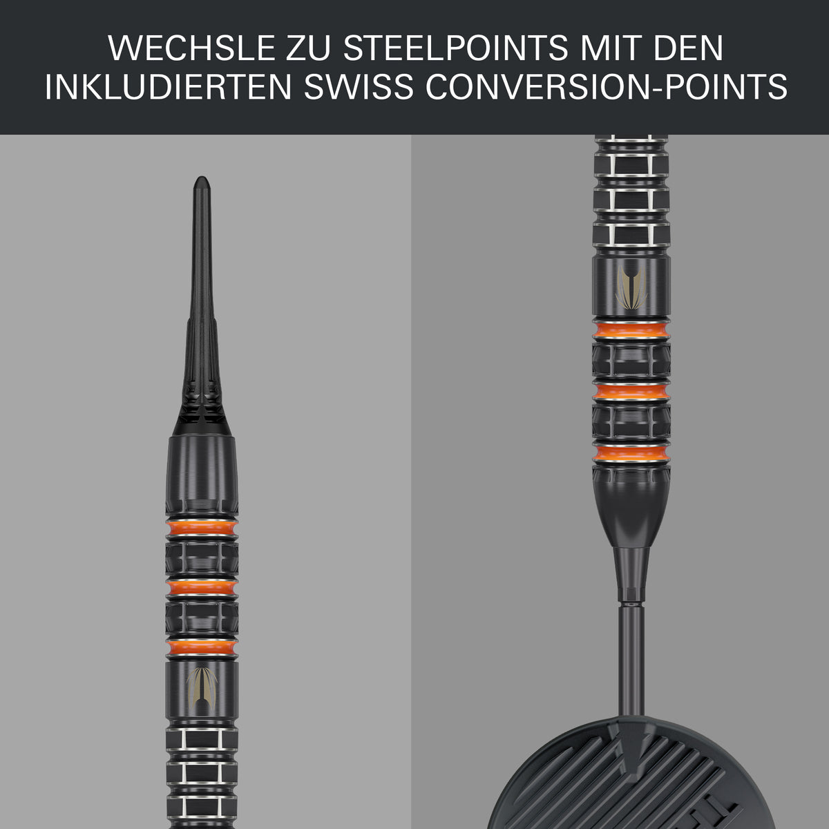 Target Raymond Van Barneveld 95k 20g Soft Dart