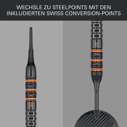 Target Raymond Van Barneveld 95k 20g Soft Dart