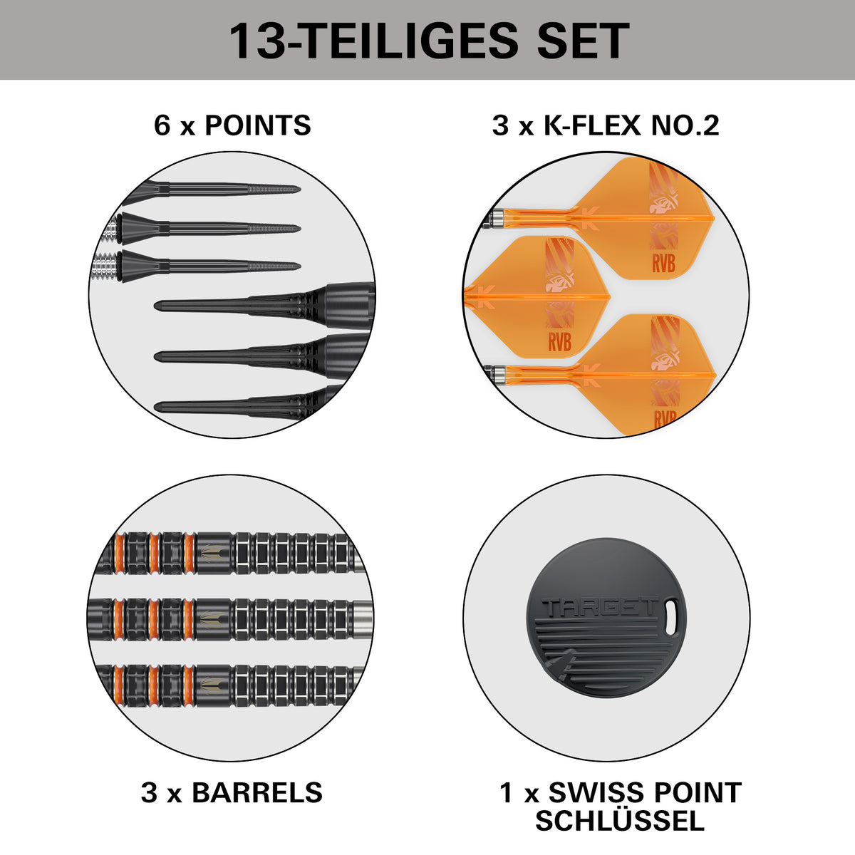 Target Raymond Van Barneveld 95k 20g Soft Dart