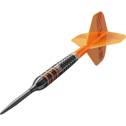 Target Raymond Van Barneveld 95k Steel Dart
