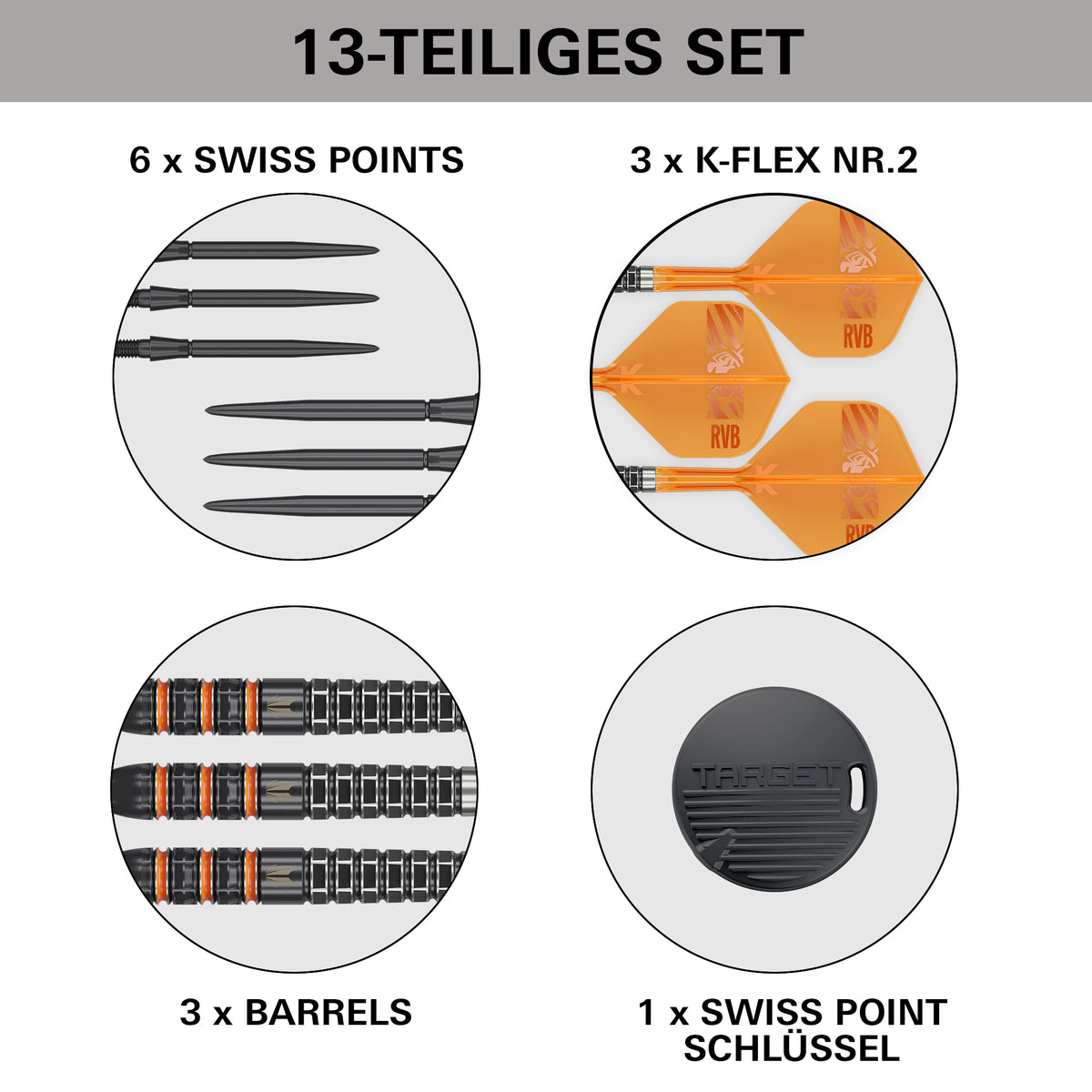 Target Raymond Van Barneveld 95k Steel Dart