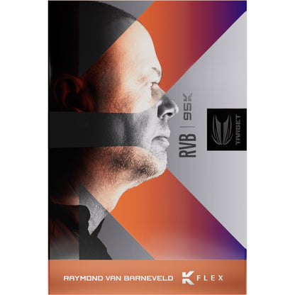 Target Raymond Van Barneveld 95k Steel Dart