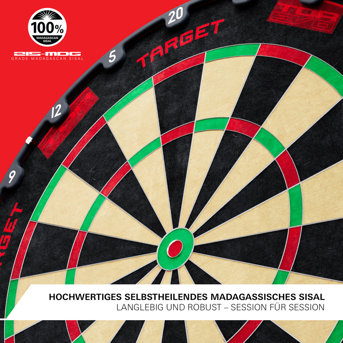 Target Tor EVO Dartboard