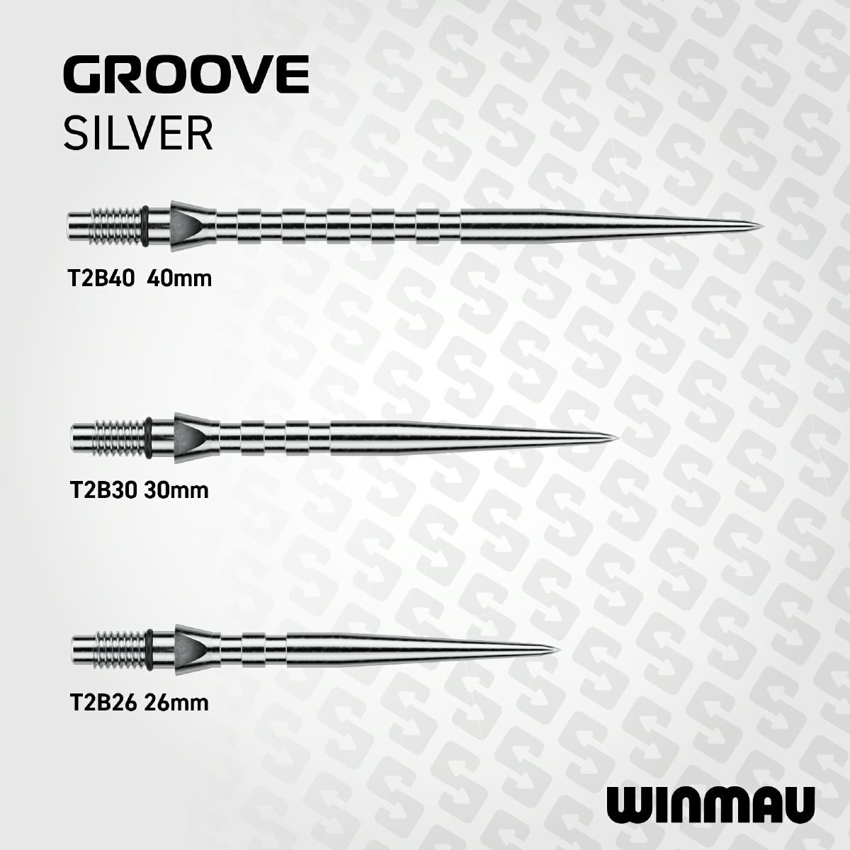 Winmau Switch Point Groove Silver